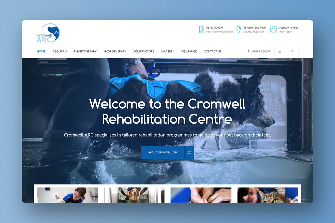 Veterinary Web Design Cambridgeshire Preview